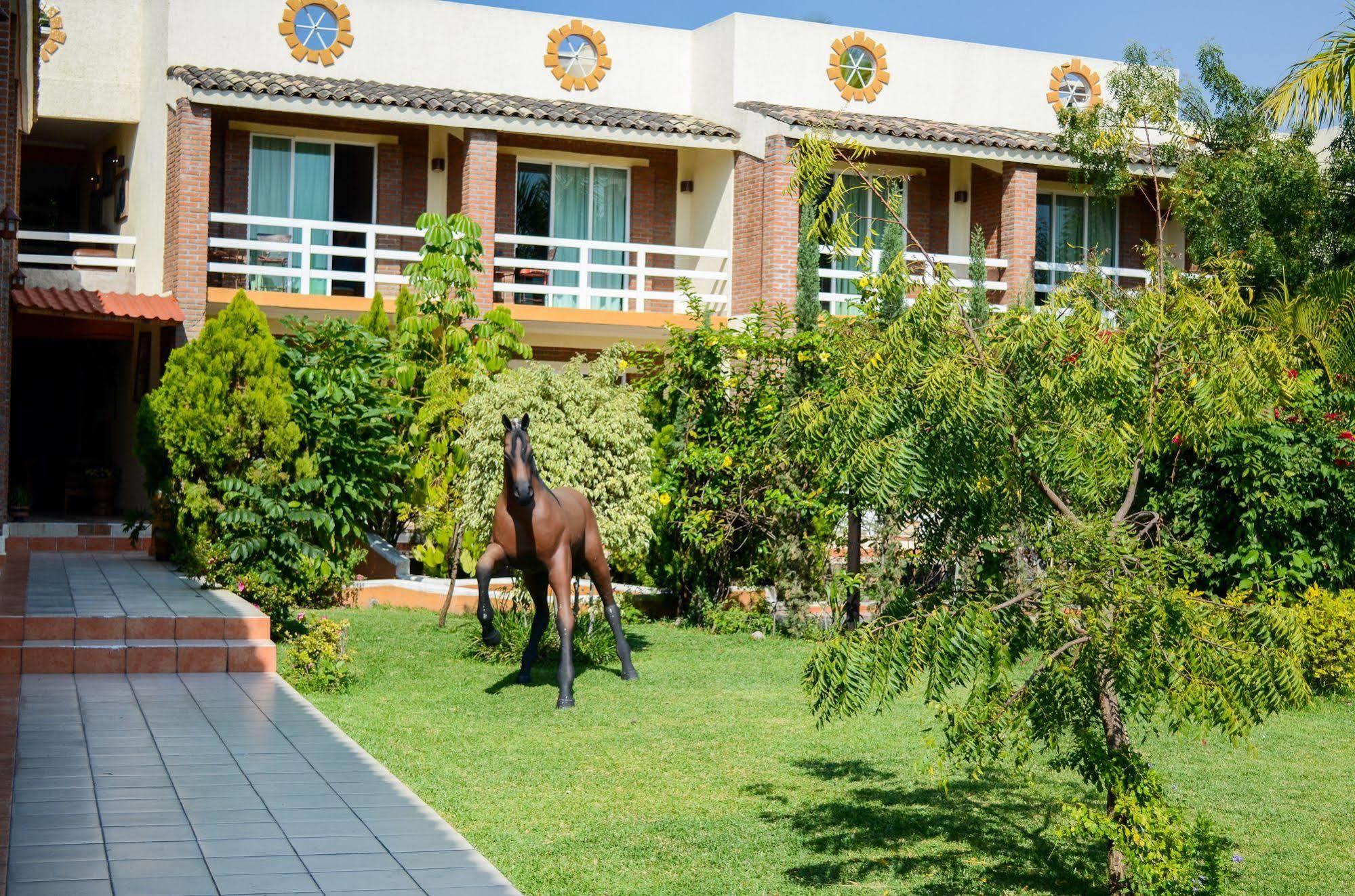 Quinta La Estampida Hotel Xochitepec Luaran gambar